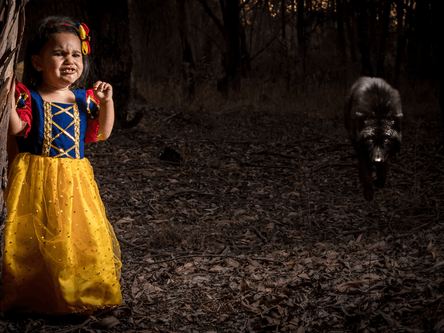 Trabalho diversos de Ensaio externo da Ariane