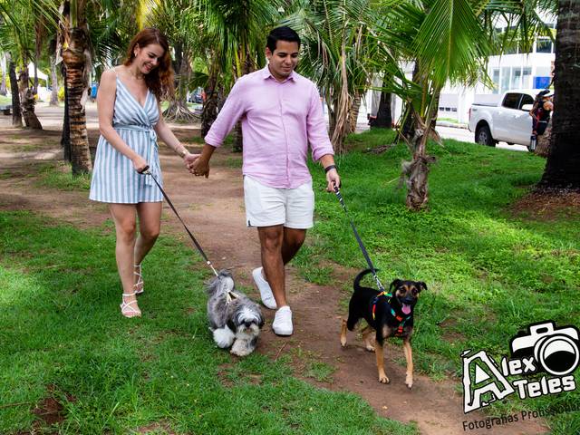 Ensaio Externo de Ensaio Pet