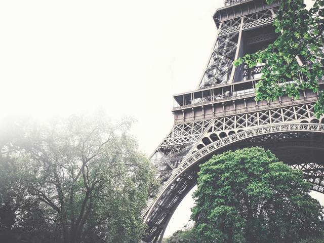 Formaturas de Lumiére & Love