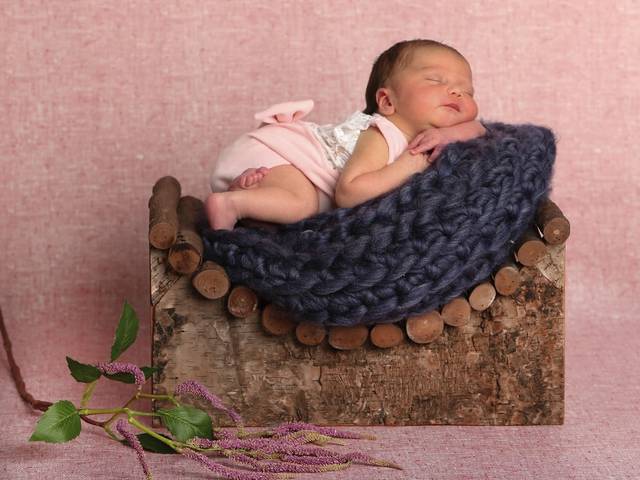 NewBorn de Agapantus