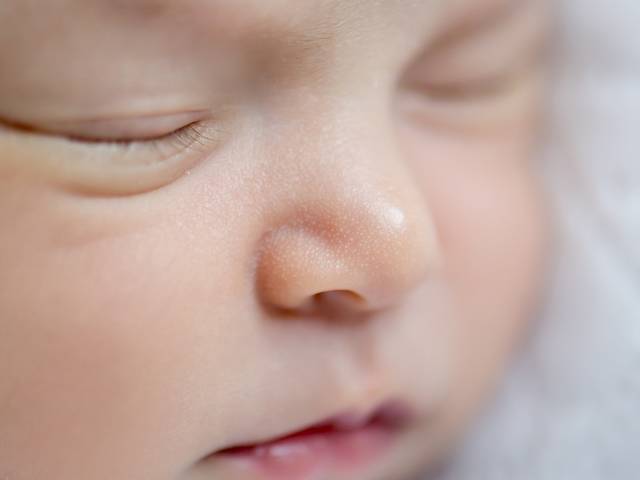 NEWBORN de Primeiros dias da Vitória