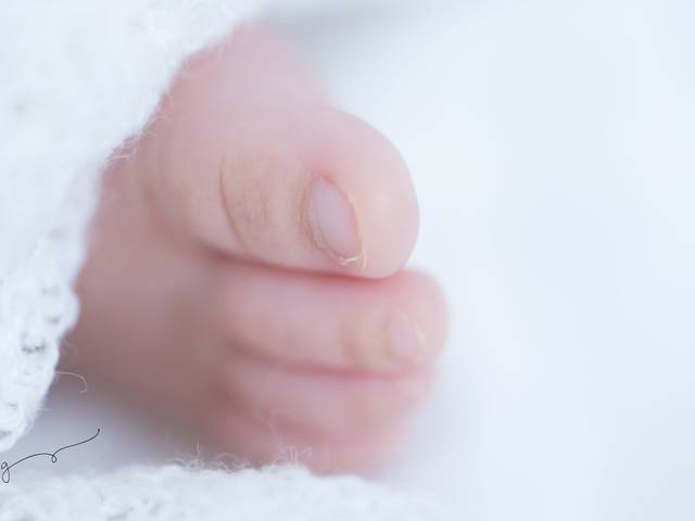 NEWBORN de  João Felipe-Primeiros dias