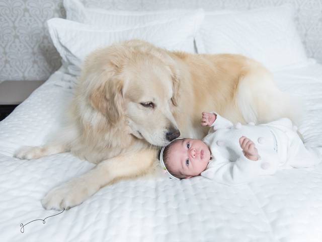 NEWBORN de Newborn da Alice