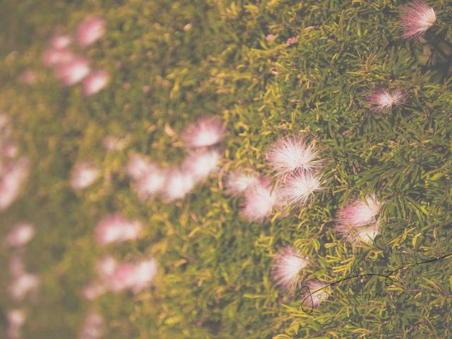 BATIZADOS de Batizado Lucca