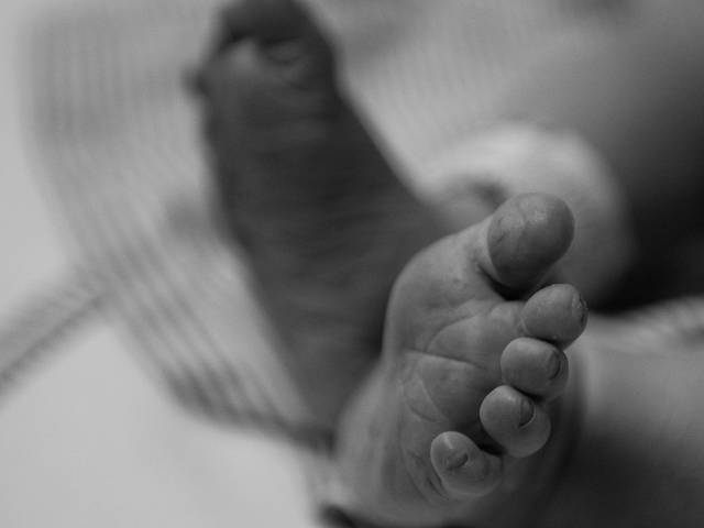 NASCIMENTO de  A chegada do Heitor