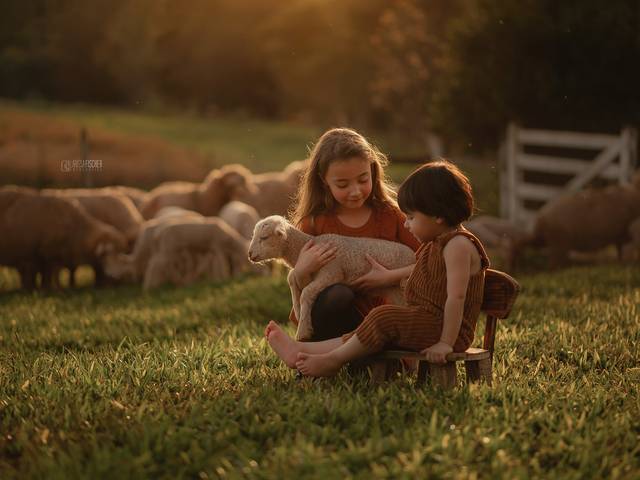 Família de ARTHUR E FAMÍLIA