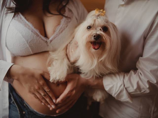 Gestante de STELA | GESTAÇÃO