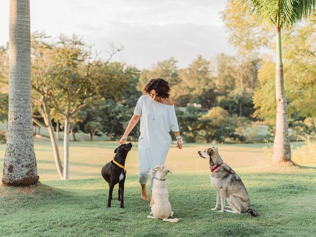 Ensaio Família de Joy, Lucky e Bless, um amor incondicional! <3