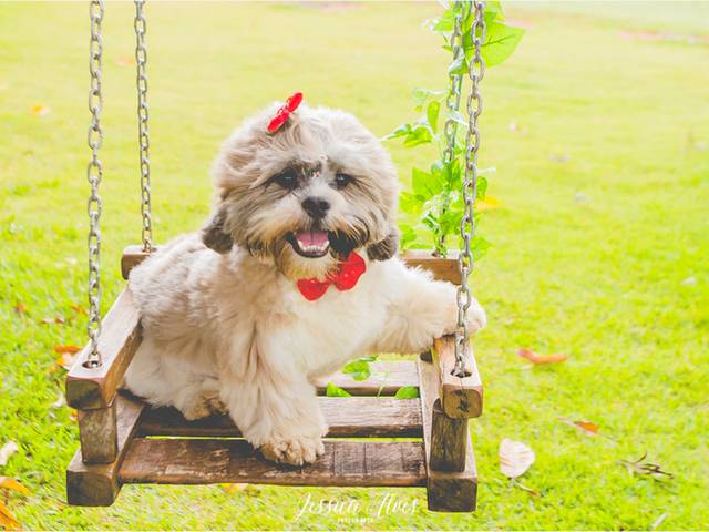 Gestante de {Lívia} Doce Espera