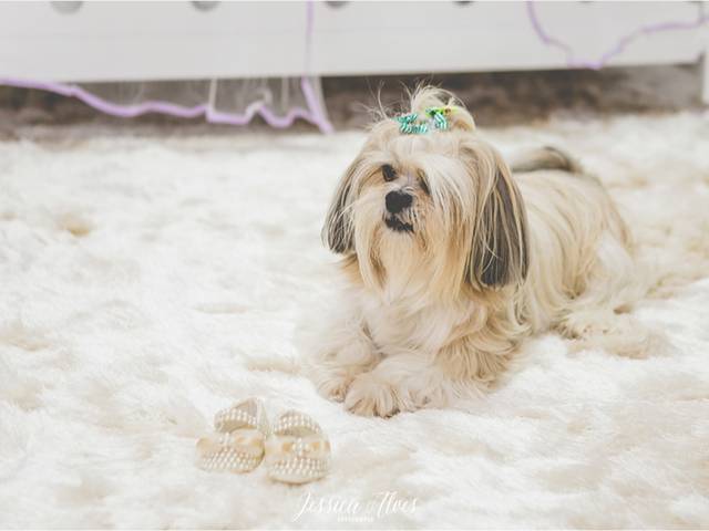 Gestante de {Heloísa} Doce Espera