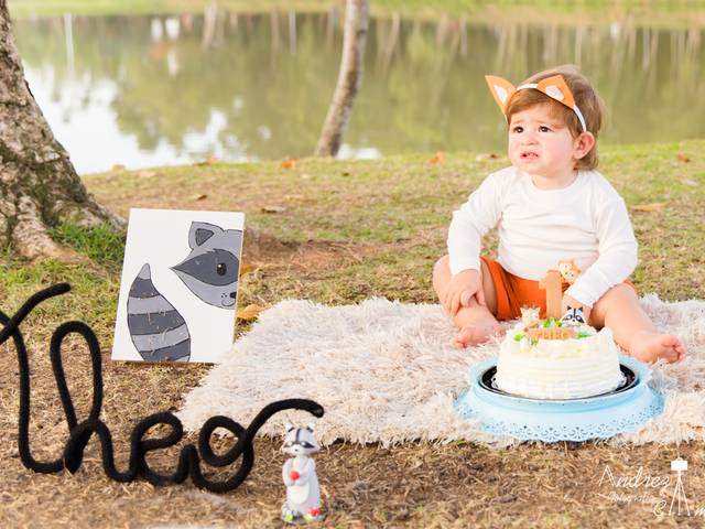 Ensaio de Smash the Cake Theo