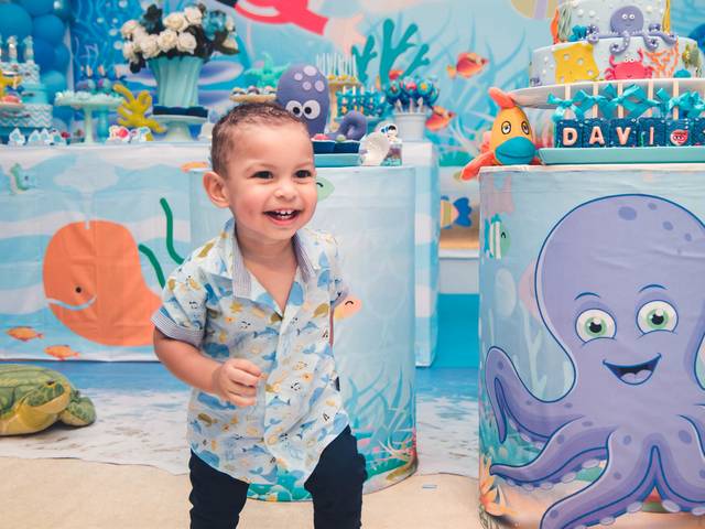 Festa de Festa Infantil Davi 1 ano