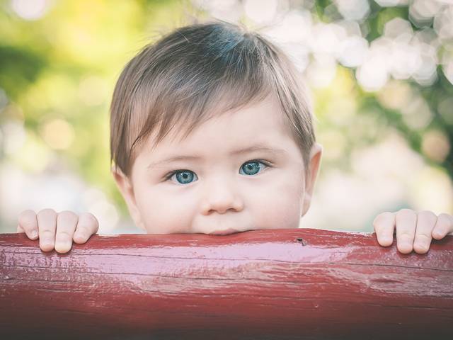 FAMÍLIAS de Joaquim - Acompanhamento