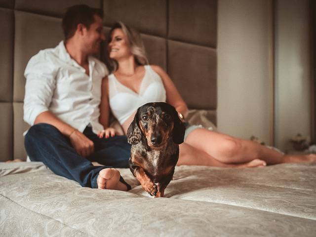 GESTANTES de A espera pela Olívia