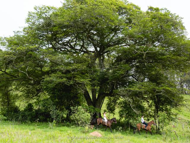 Pré Wedding de Pré Wedding Débora + Rodrigo