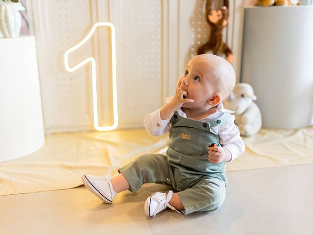 Festa Infantil de Theo 01 ano