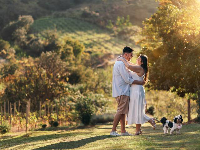 Ensaios de Ensaio pré casamento - Amanda e Carlos - Vinícola Terraços em Amparo-SP