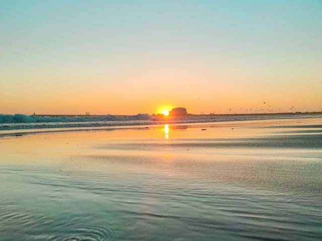 Backgrounds de Backgrounds