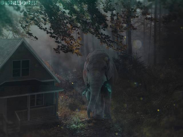 MANIPULAÇÃO de MANIPULAÇÃO DE IMAGENS+ AMBIENTAÇÃO