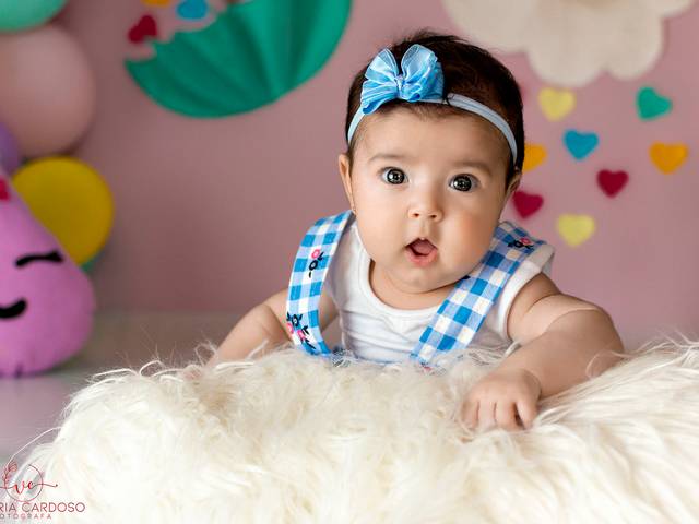 Acompanhamento Mensal de ACOMPANHAMENTO MENSAL LORENA💜