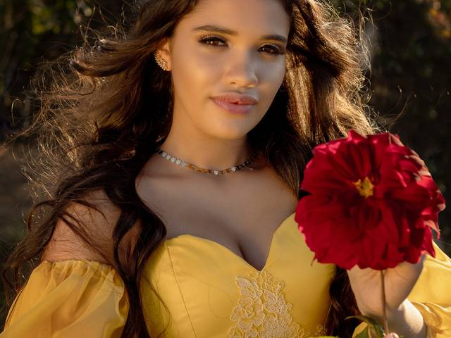 ENSAIO 15 ANOS  de Liz