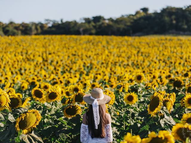 15 anos de 15 anos | Paulinha