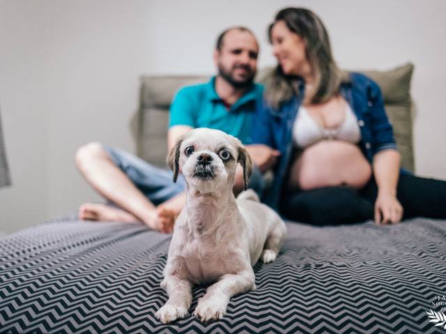 Gestante de À espera de Júlia