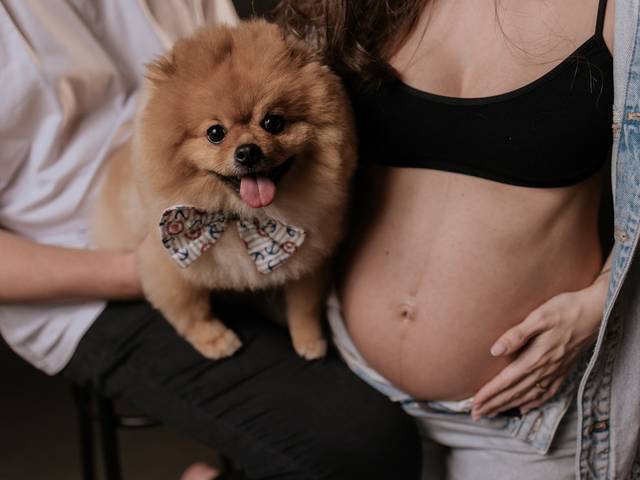 gestante de Ana à espera de: Carolina