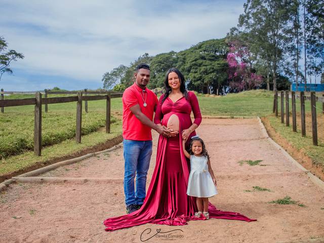 Gestante de Hevellyn - Gestante 