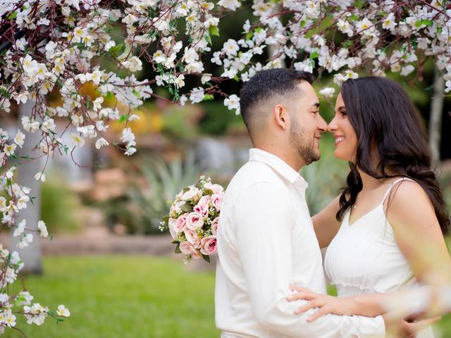 Save the date de Laine e Luiz Henrique