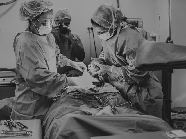 Nascimentos de Júlia | Cesárea