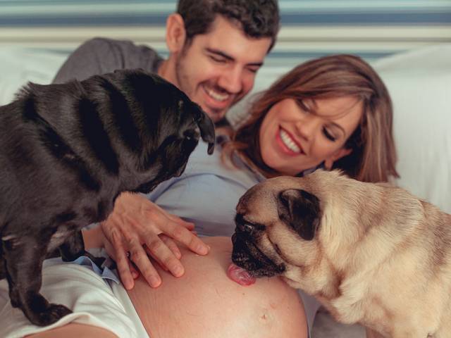 Gestantes de Liege + Marcelo = Elena & Maria