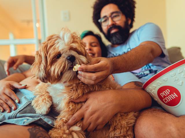 Gestantes de Luanna + Todi = Juno