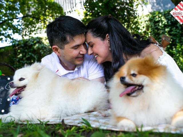 Externos de Romântico