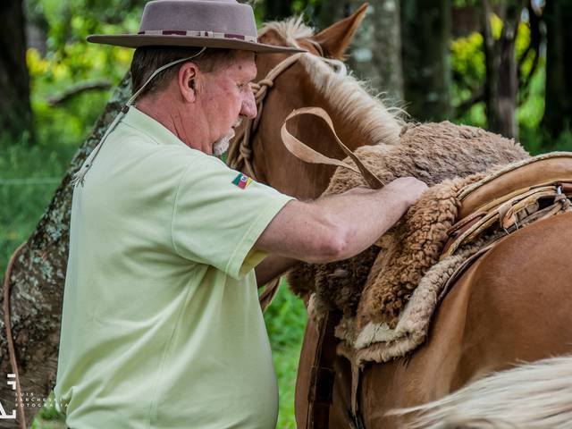 Ensaios de Ernani Frankenberger - 60 Anos