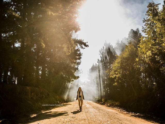 15 anos de Heloisa | 15 anos