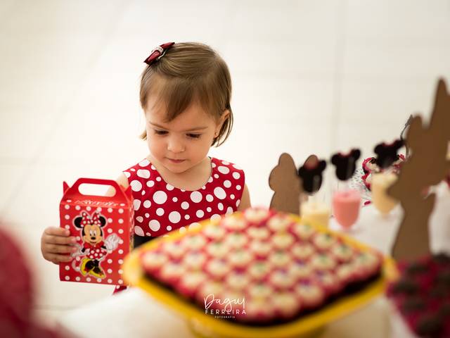 Aniversário Infantil de Fernanda 2 anos | Aniversário Infantil