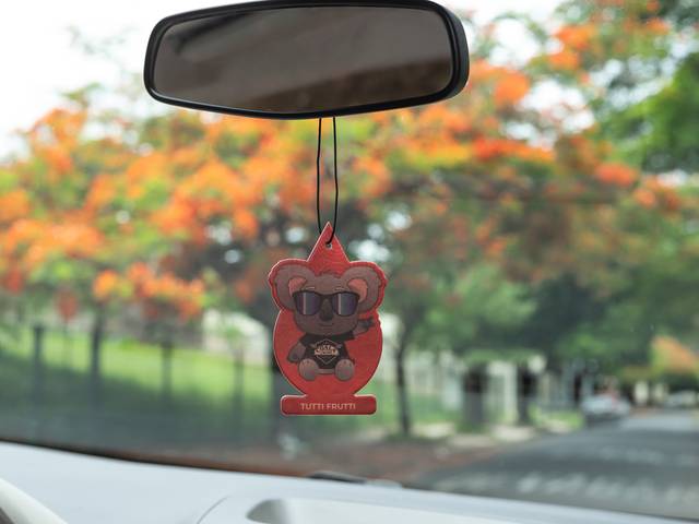 Produtos de Coala - Auto