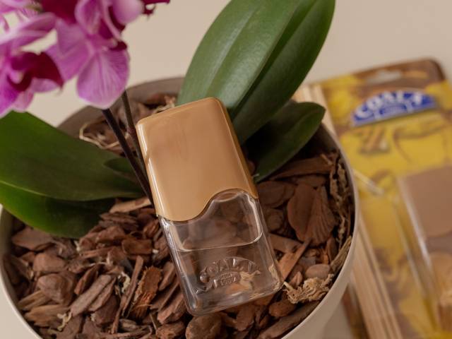 Produtos de Coala - Ambientes