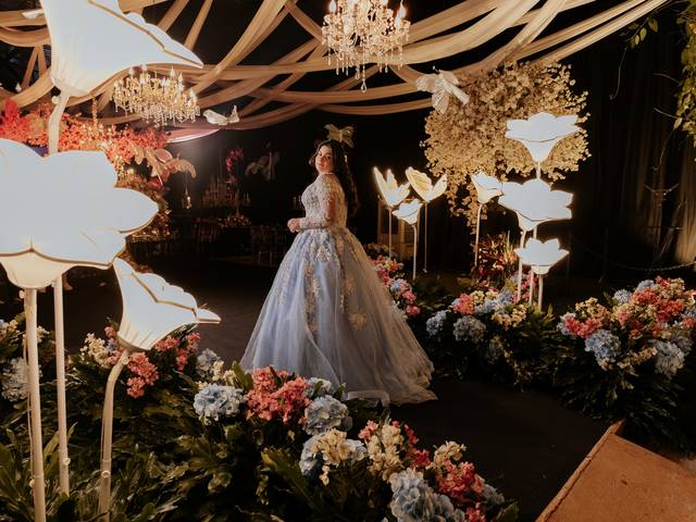Debutantes de Amanda