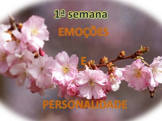 Mulher, Mulher de Desafio AGORA É QUE SÃO ELAS