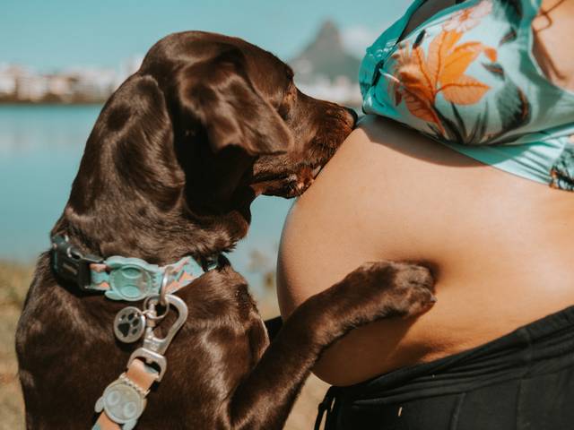 Gestantes de Gestante