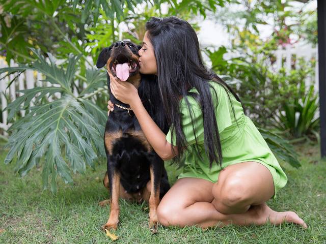 Ensaios Pet de Marocas 