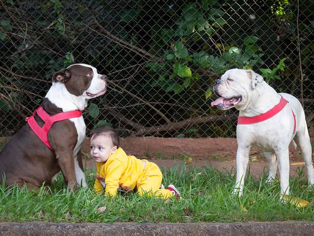 Ensaios  de MIGUEL - 1 ano