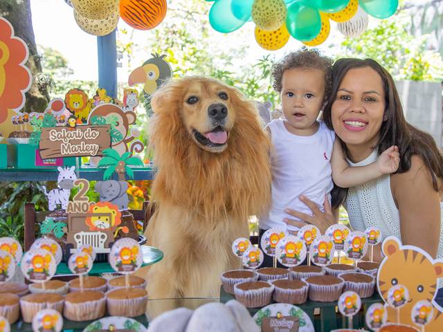 Ensaios Pet de Marley - 2 anos