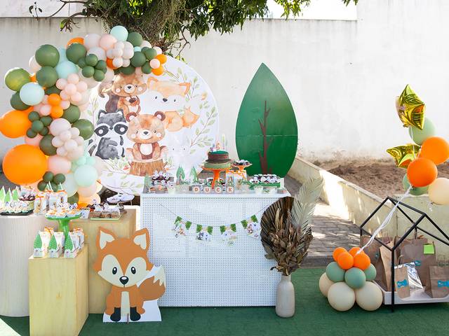 Ensaios Pet de Duke 1 ano - Festa na Creche