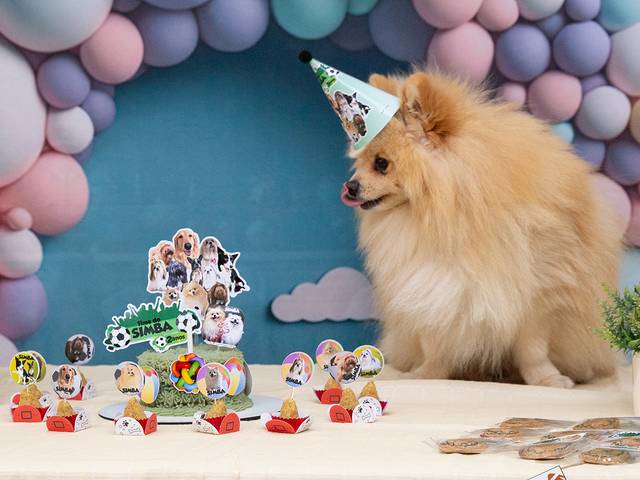 Ensaios Pet de ❤️ Simba - 2anos ❤️