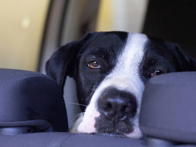 Ensaios  de ❤️ Silvia e Família ❤️