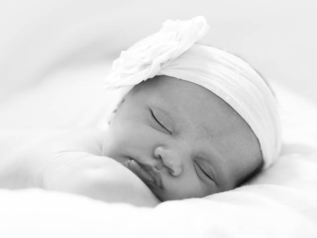 Ensaios  de Maria Laura