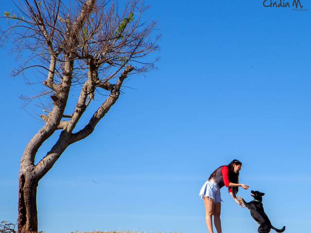 Others of My pet my life